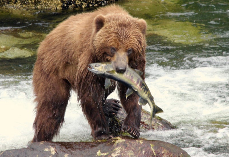 Discover Southeast Alaska
