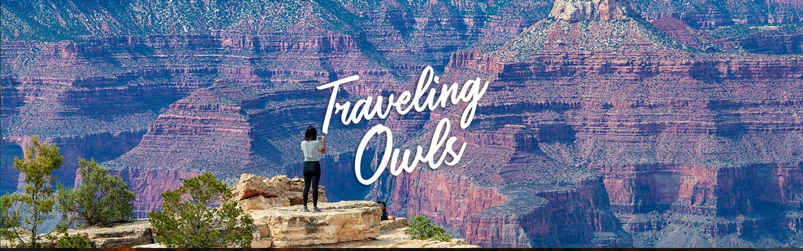 Traveling Owls FAQ