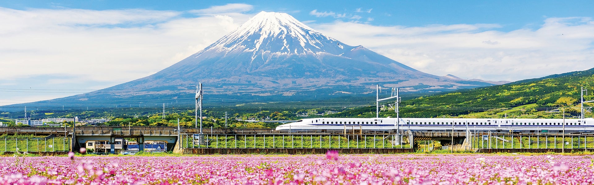 Bullet Train in front of a mountain
