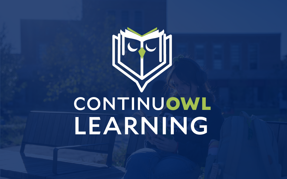 ContinuOWL Learning