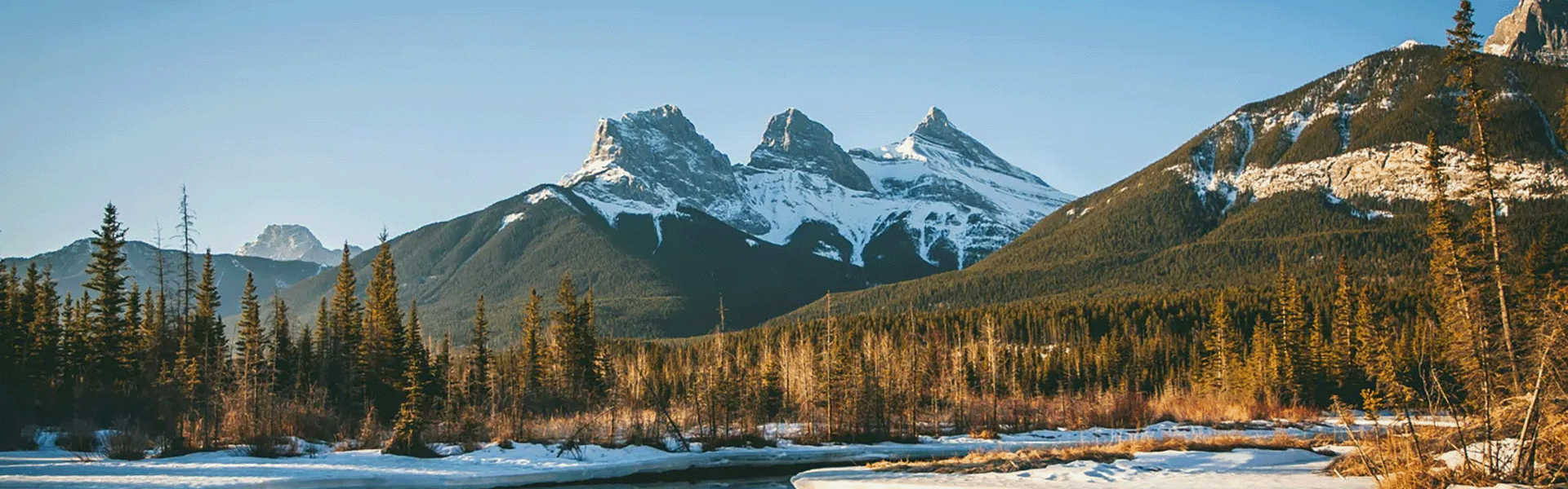 Canadian Rockies overlooking a stream