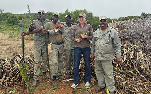 South African team