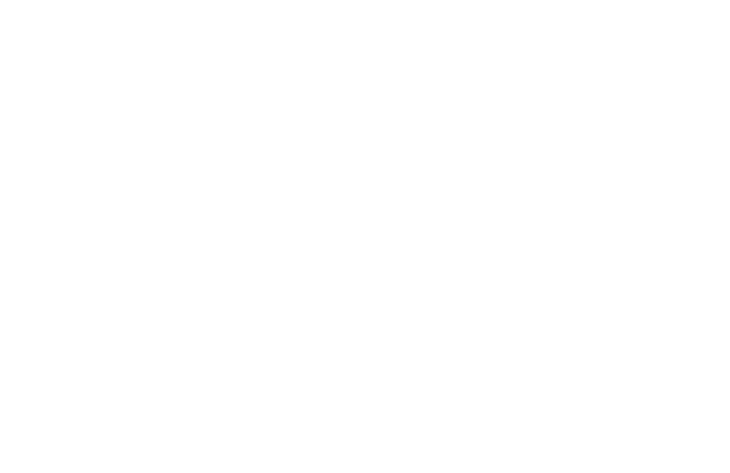 Traveling Owls logo